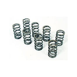 Valve springs,single, set 8 Bugpack
