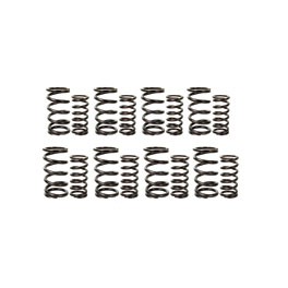 Valve springs, Bugpack racing Dual Valve springs, Bugpack racing Dual