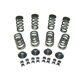 Bugpack Hi-rev valve spring kt