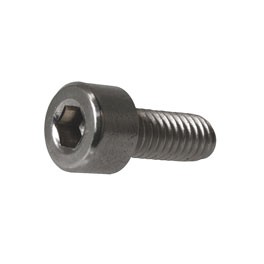Screw, stainless steel, socket head, M4 x 10, for SSP wheels