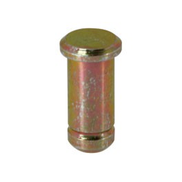 Pin for door check strap
