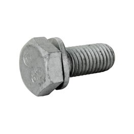 Caliper Bolt T1 (Gen VW/Hex) Not T2