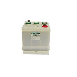 Battery, 6V,German, 66ah,dry,requires Acid packs buy locally