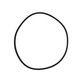 Speedo sealing ring Speedo sealing ring