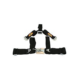 Harness, 4 point Quick Release, Y