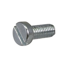 Screw M5x12 Cheese Head for Speedo Mounting