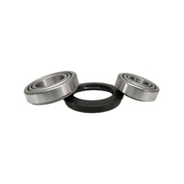 Bearing Kit for CSP Front Disc kit T1 66-67